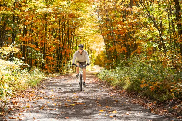 Do Básico ao Avançado: Conheça os Equipamentos Ideais para Cicloturismo